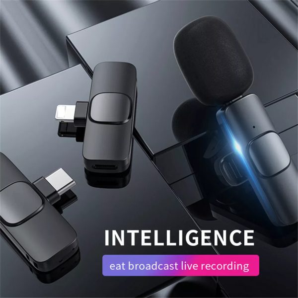 Wireless Portable Mini Microphone